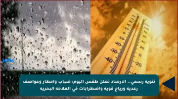 تنويه رسمي.. الأرصاد تعلن طقس اليوم: ضباب وأمطار وعواصف رعدية ورياح قوية واضطرابات في الملاحة البحرية
